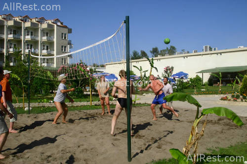 Le Palm 6